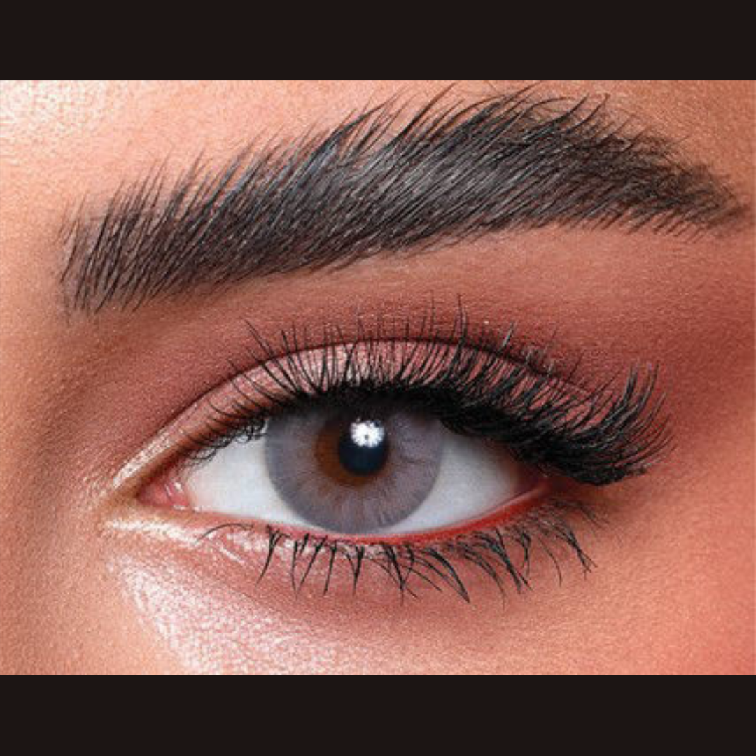 Bella Monthly Elite Collection Cloudy Gray (2 Lens/Box)
