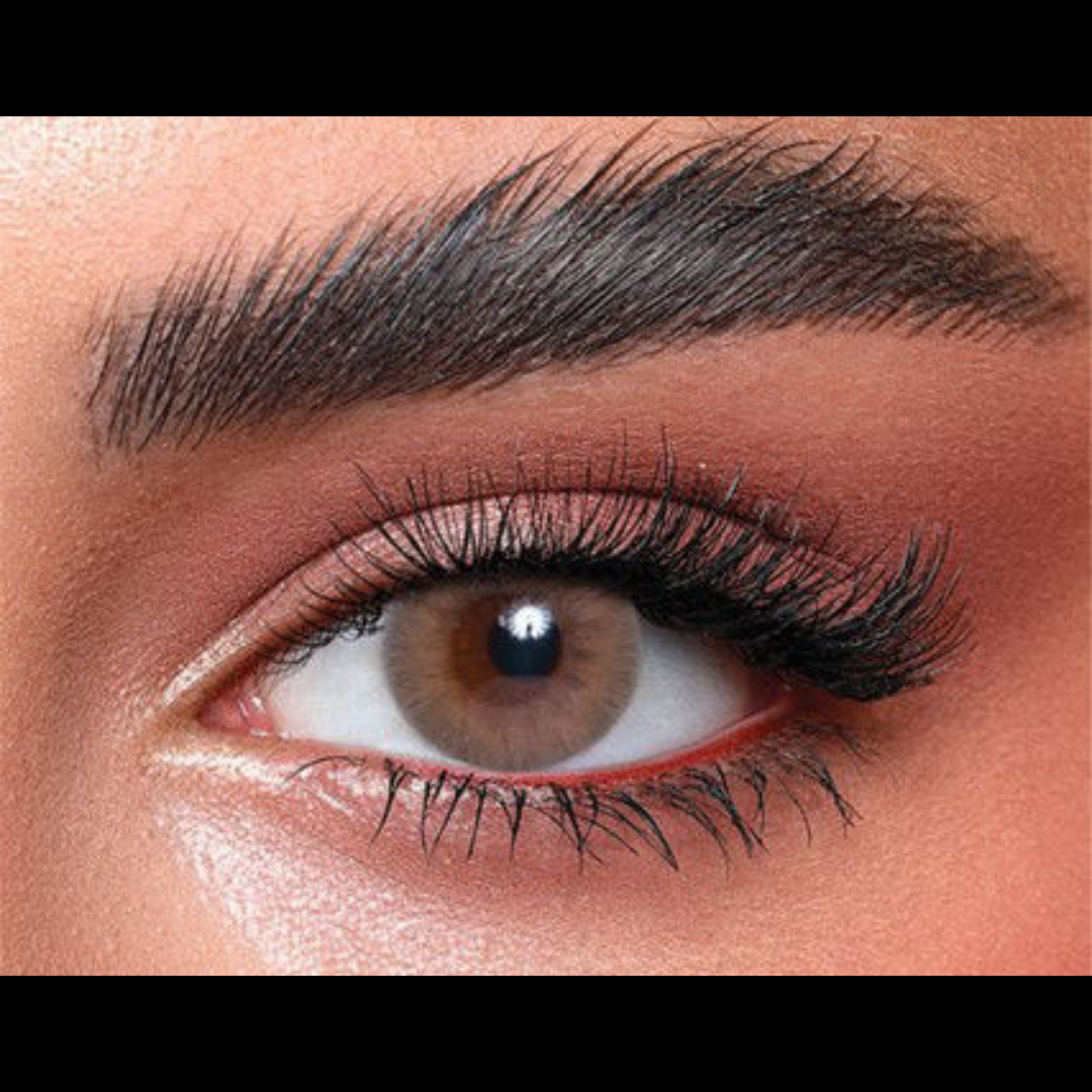 Bella Monthly Elite Collection Sandy Brown (2 Lens/Box)