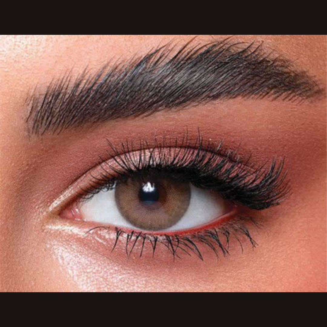 Bella Monthly Elite Collection Wild Honey (2 Lens/Box)