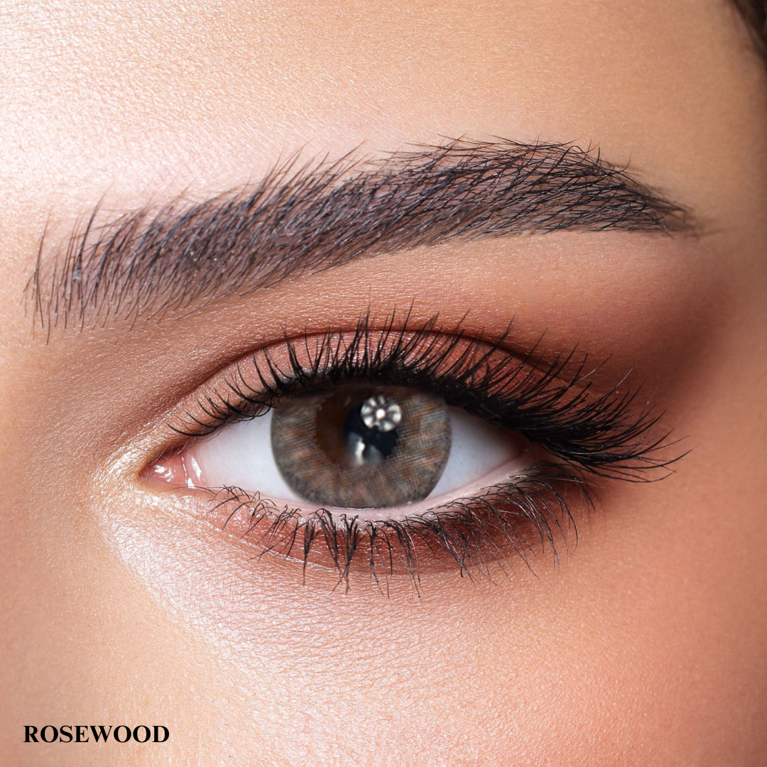 Bella One Day Collection Color Contact Lens - Rosewood (10 lens/box)