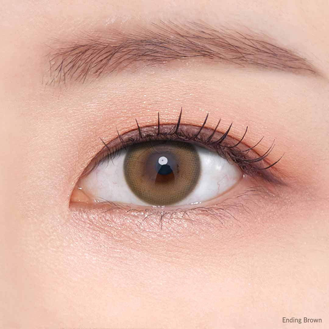 OLENS Ending Brown One Day (10 Lens/Box)