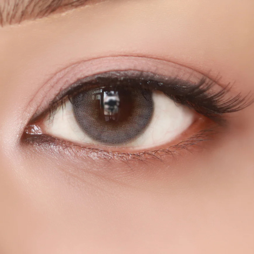 OLENS French Shine Gray One Day (10 Lens/Box)