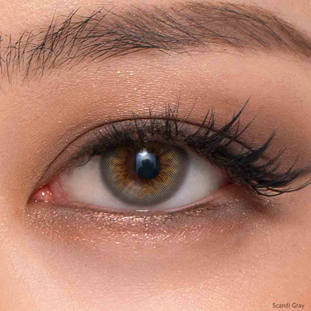 OLENS Scandi Gray One Day (20 Lens/Box)