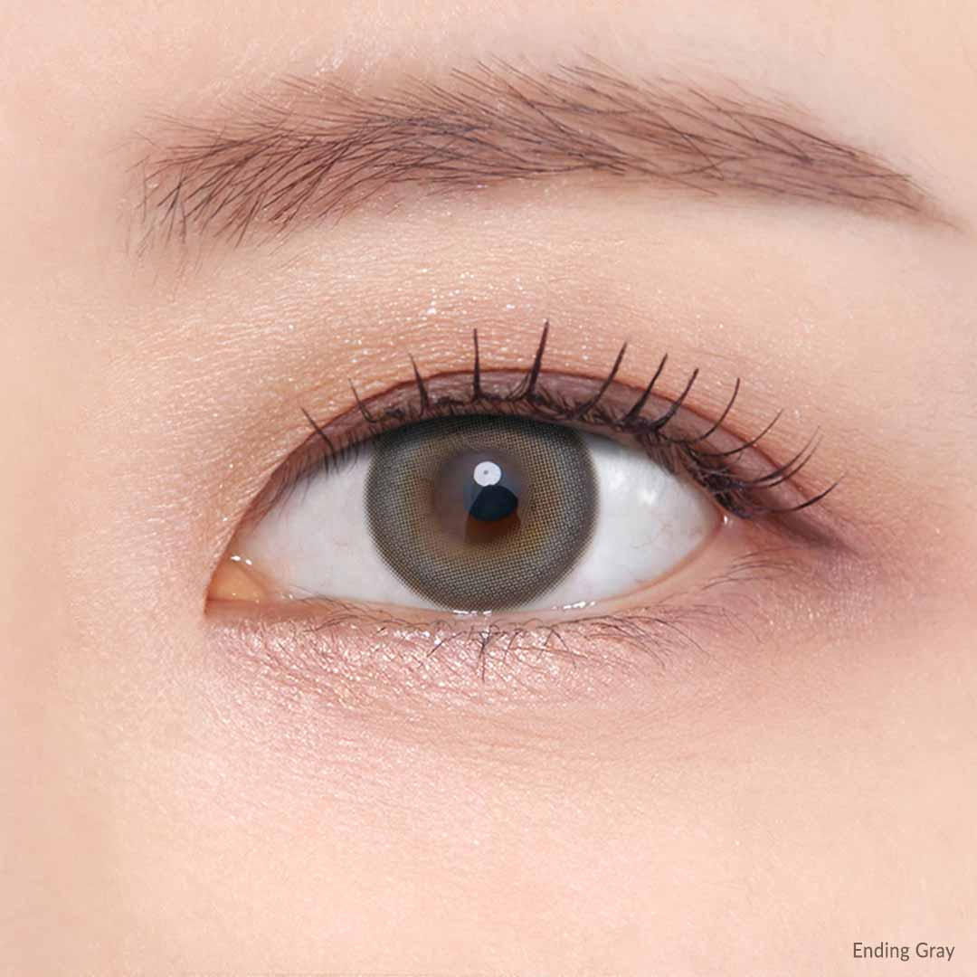 OLENS Ending Gray One Day (10 Lens/Box)