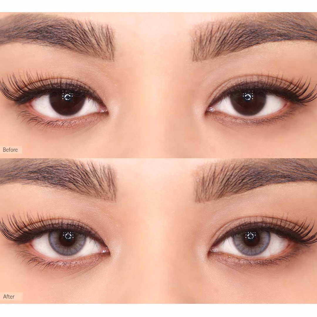 OLENS Russian Smoky Gray One Day (10 Lens/Box)