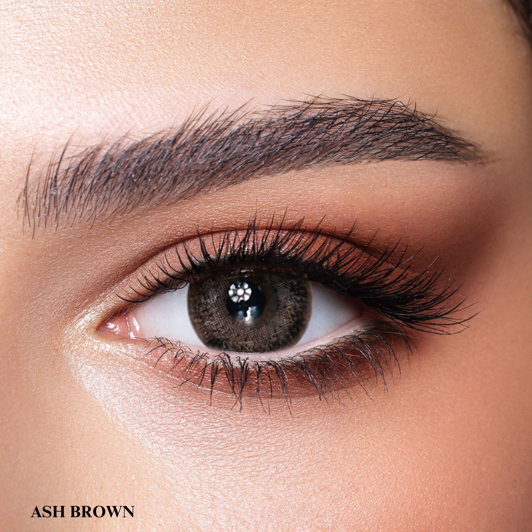Bella One Day Collection Color Contact Lens - Ash Brown (10 lens/box)
