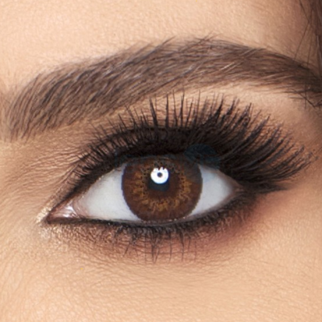 Alcon Freshlook Colorblends Brown Color Lenses 2 Lens per Box