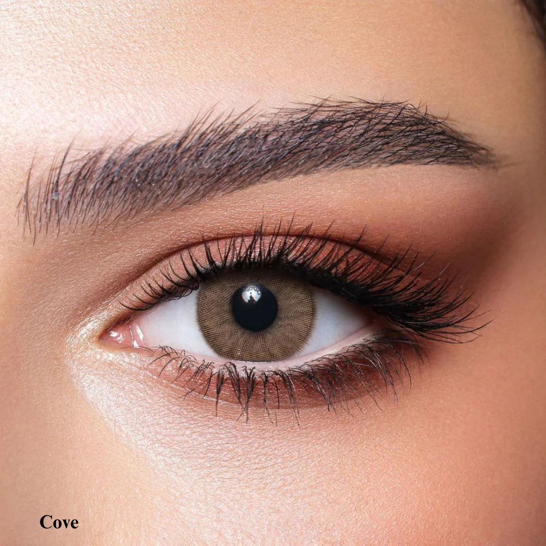 Bella One Day Collection Color Contact Lens - Cove (10 lens/box)