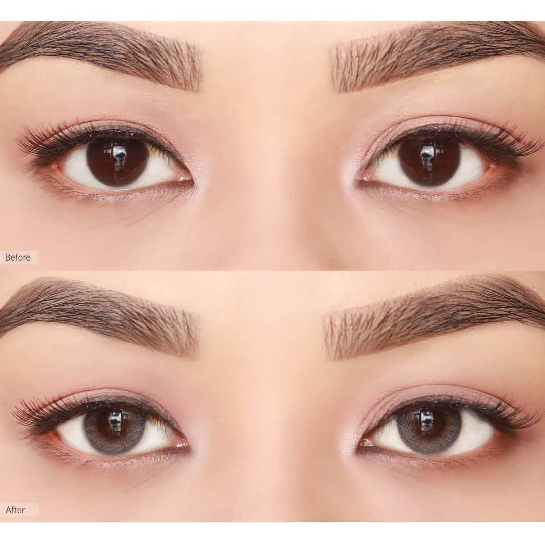 OLENS French Shine Gray One Day (10 Lens/Box)
