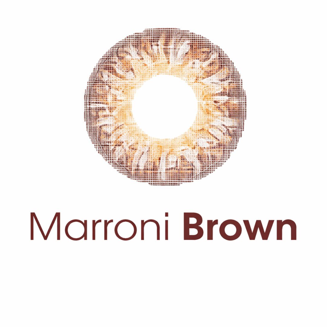 Polylite One Day Premium Color Contact Lens(10 Lens/Box) Plano/No Power